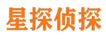 盐边侦探公司